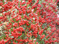 wphoto05nov4 024.JPG